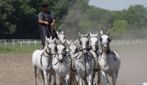 Biczó-puszta